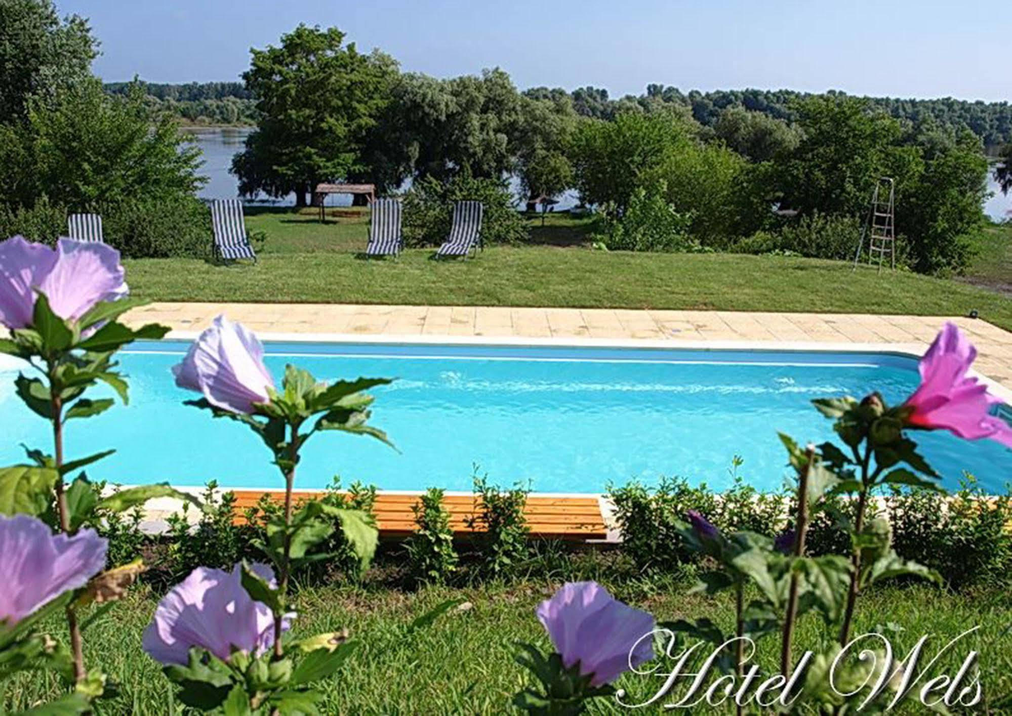 Hotel Wels Băltenii de Sus Esterno foto